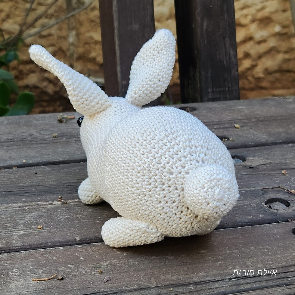 Thumbnail: ארנב לבן סרוג בעבודת יד | בובת ארנב | ארנב אמיגורומי