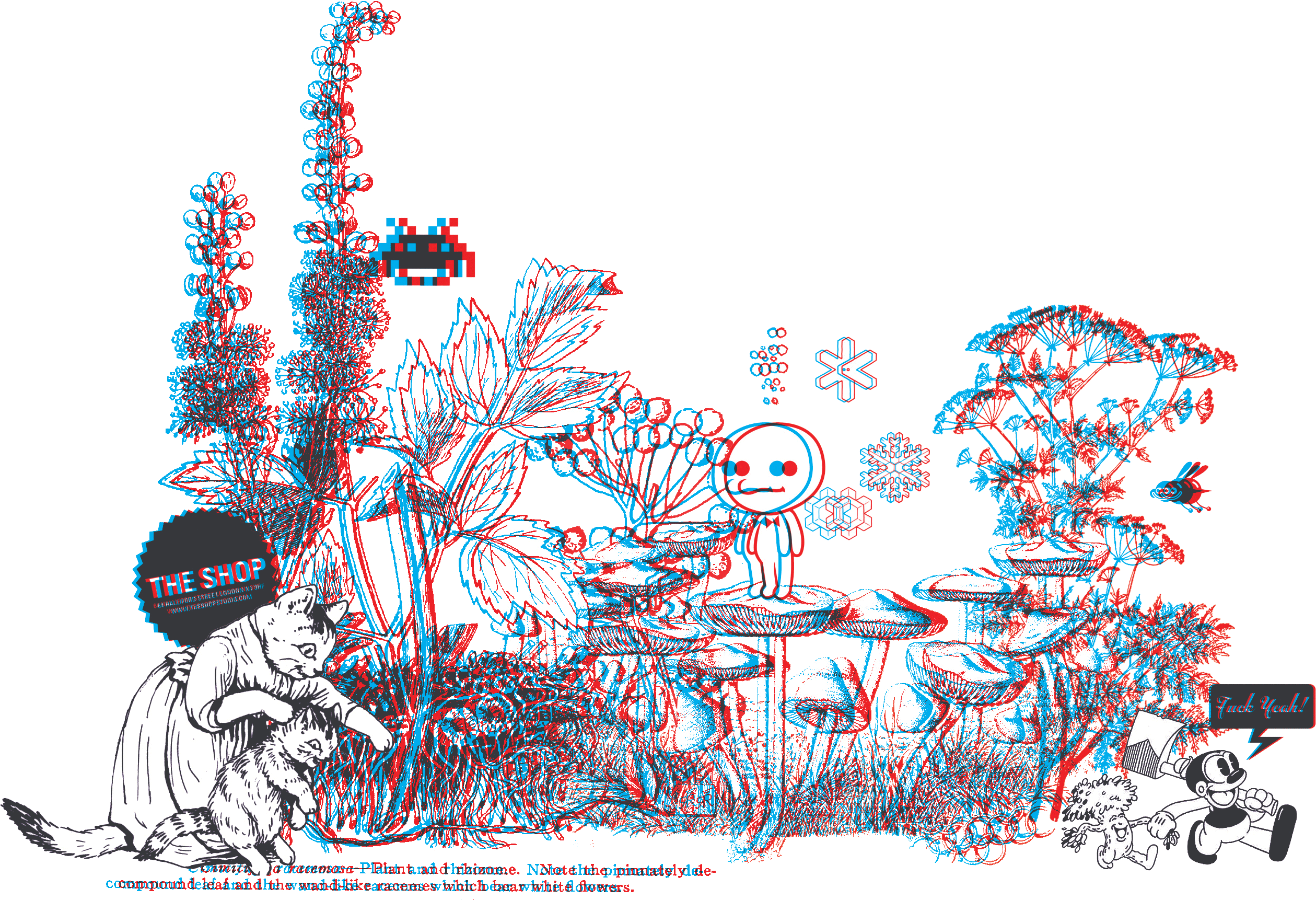 Wonderland_Full.gif
