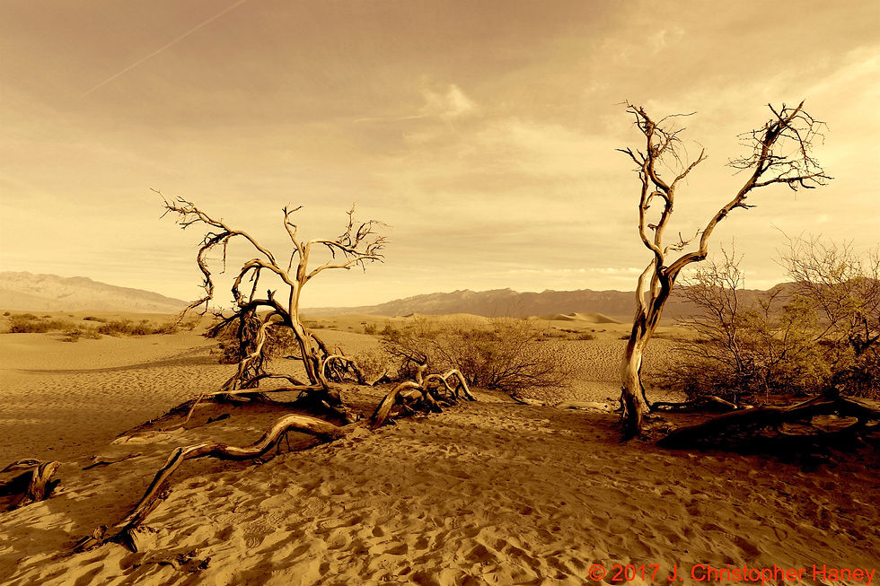 Mesquite Flats, Death Valley