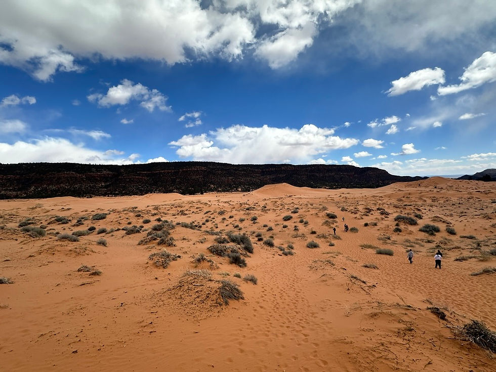 Coral pink sand dunes