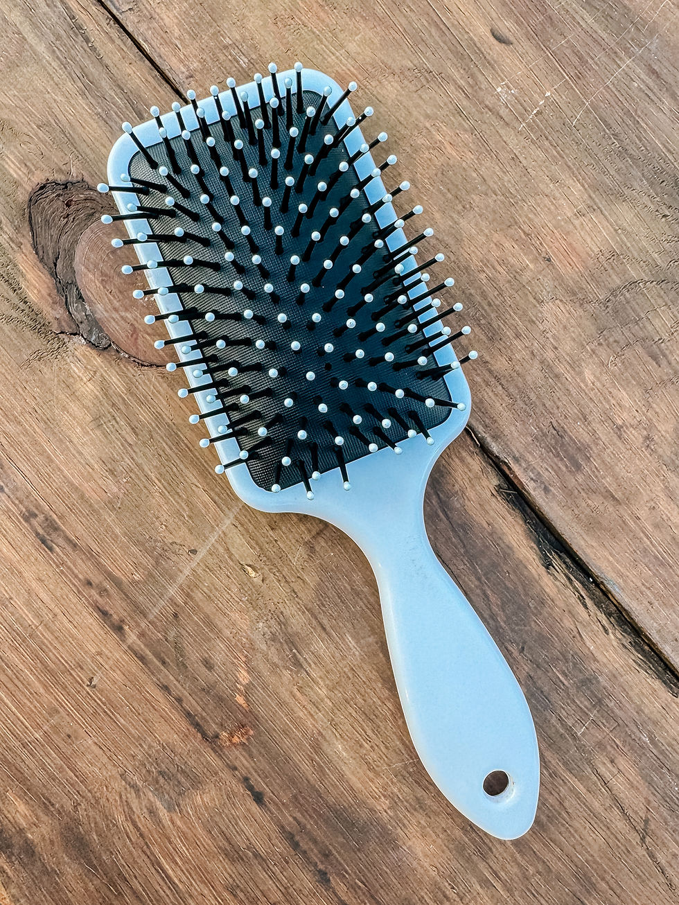 Thumbnail: Cow Print Hair Brush