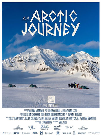 Affiche du film An Arctic Journey