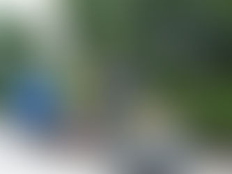 Giá mít Thái tăng trở lại