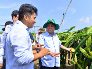 Bộ trưởng Lê Minh Hoan thăm trang trại thanh long hữu cơ hiện đại