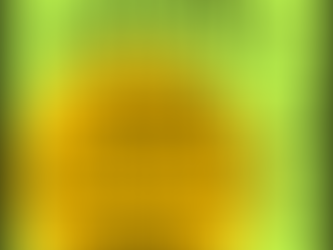 Hamlin PA Title & Tag Options