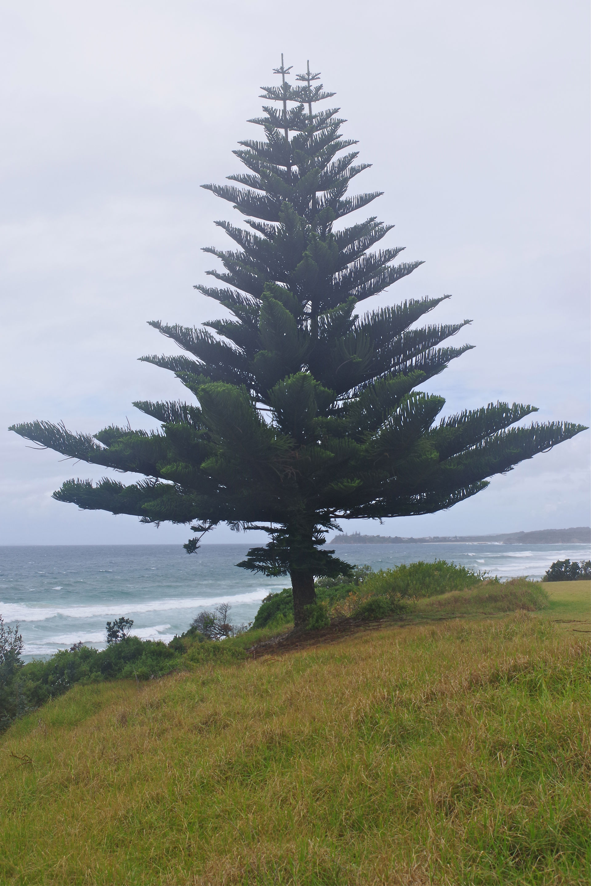 Australian seascape