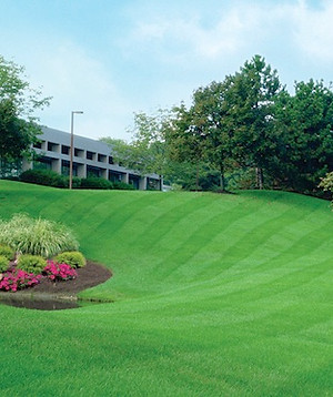 Fisher Landscaping Inc