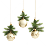 2024 embellishments-2.png