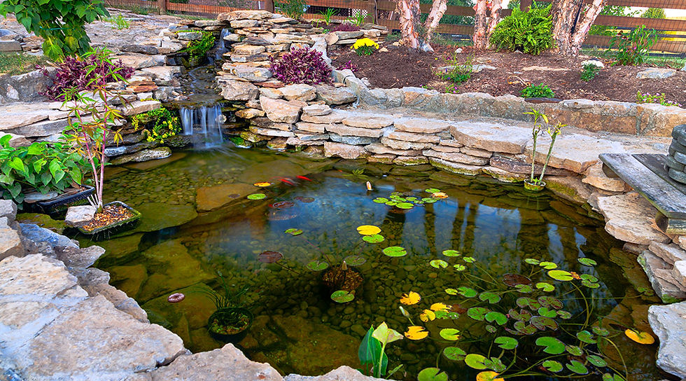 dr_fx_featured_water_feature
