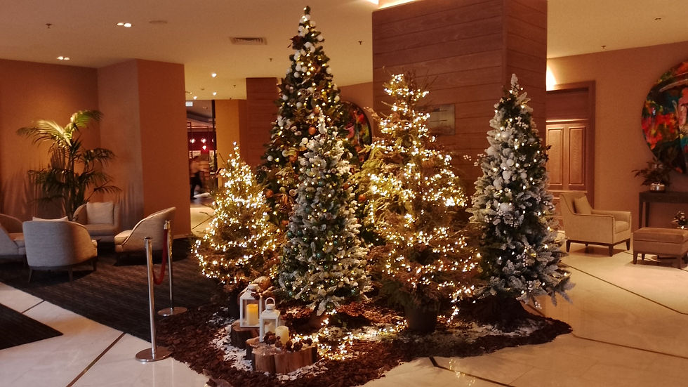 WhatsApp Image 2024-09-10 at 23.31.51 (4)