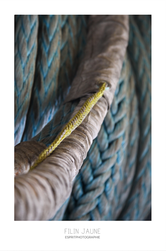 Miniature : Filin jaune