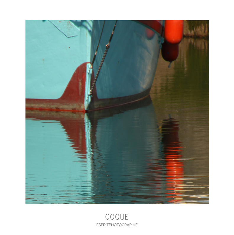 Miniature : Coque