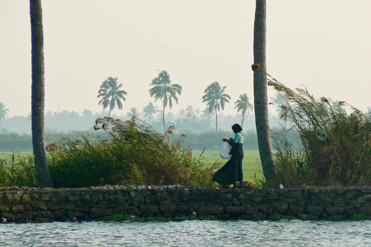 Miniature : Inde - Femme en vert