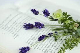 images (3)
