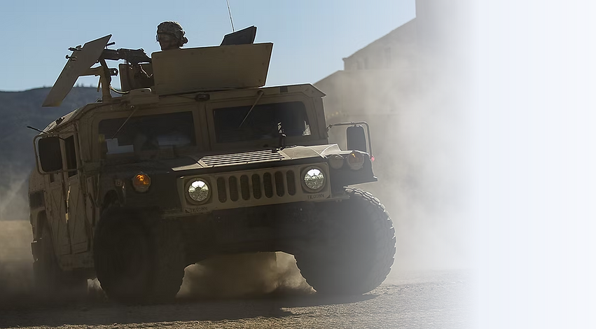 BOR-333.png