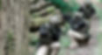 C74R8877_edited_edited.jpg