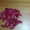 Thumbnail: 50 marquise red Thai sapphires rubies loose natural heat only gemstones