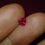 Thumbnail: 0.61ct untreated trilliant/pear faceted loose ruby VS clarity top grade red pink