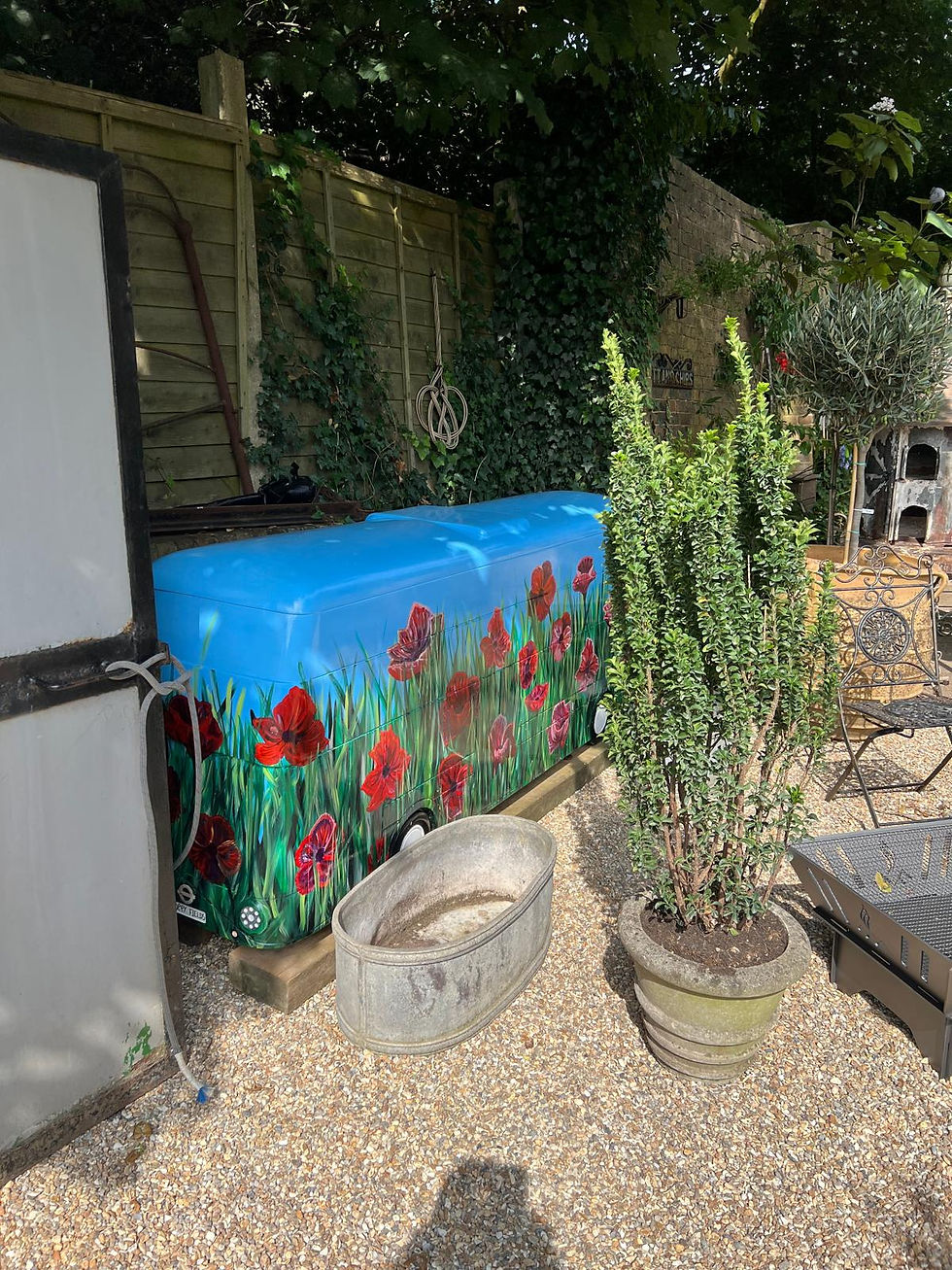 'Poppy Field' bus artwork