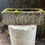 Thumbnail: Carved Planting Trough