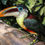 Thumbnail: Toucan
