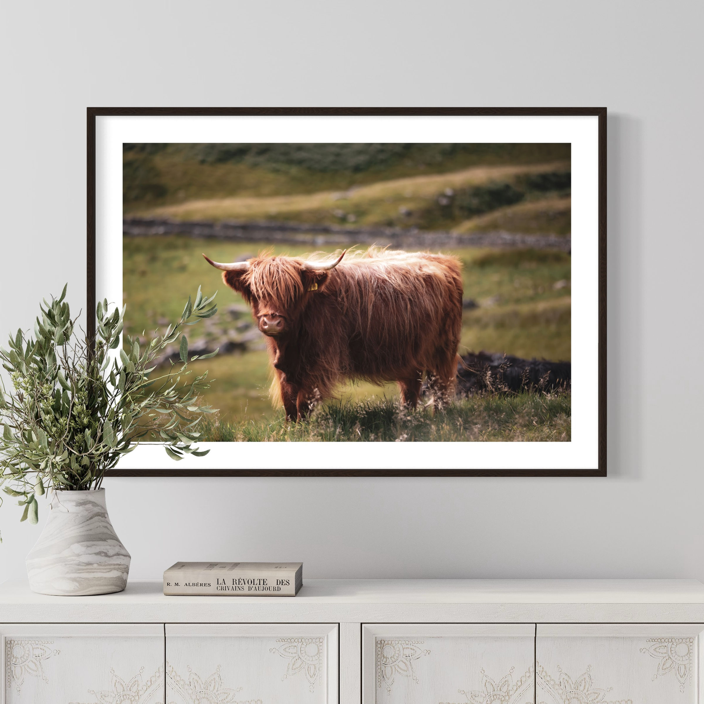 Highland Calf