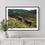Thumbnail: Highland Cattle