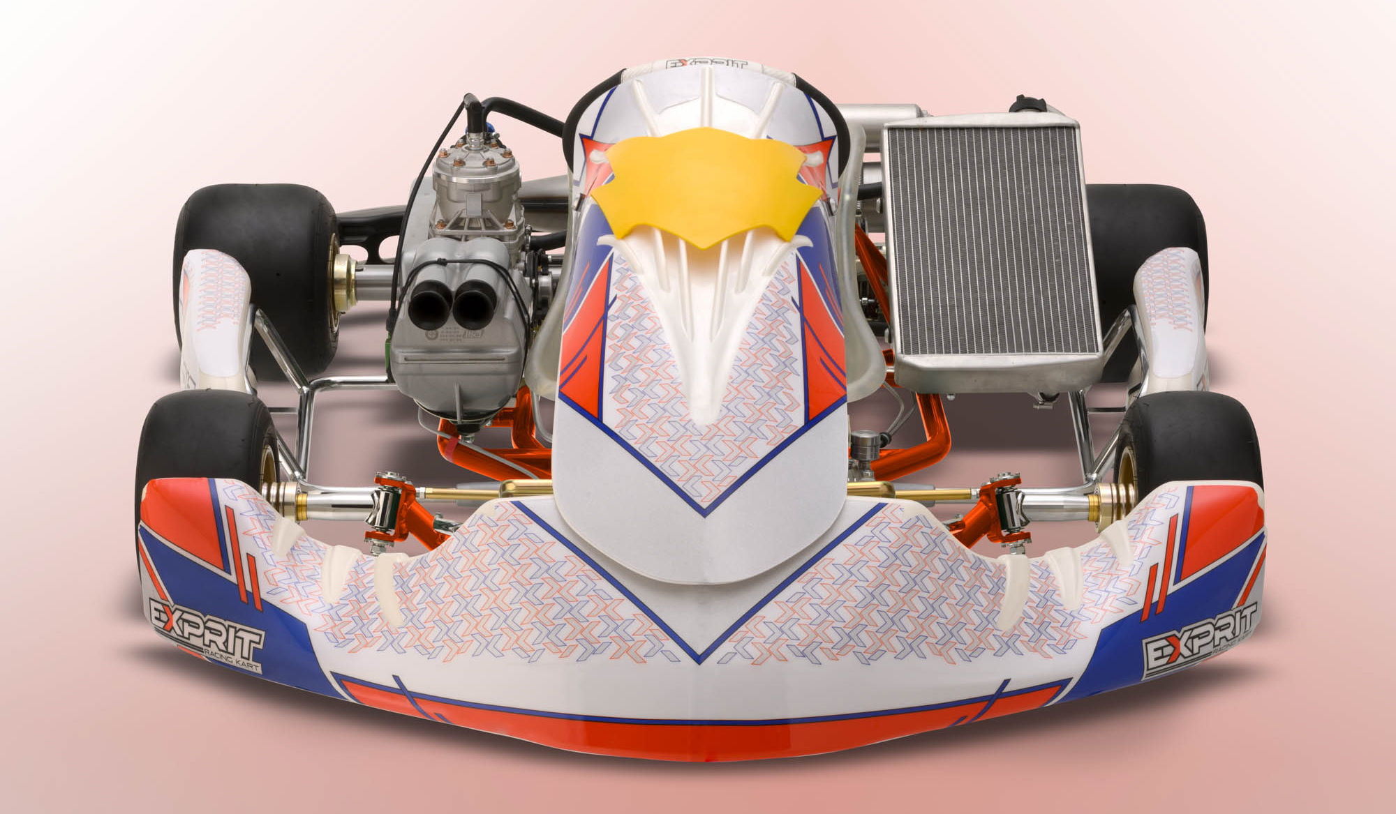 Exprit Noesis T OK / X30 / Rotax