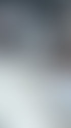 MIAAI Conference contribution