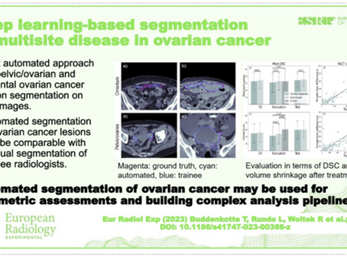 Neue Publikation von Univ.-Prof.in Priv.-Doz.in Dr.in med. Ramona Woitek, PhD