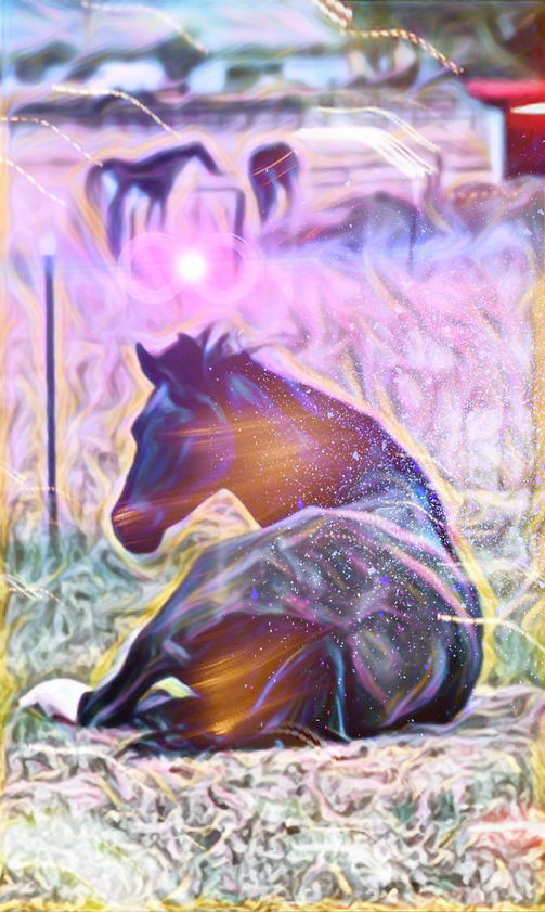 Bob.JPEG