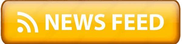 Car Detailing Services Near Me | Mudbusters: Expert Cleaning for Your Vehicle