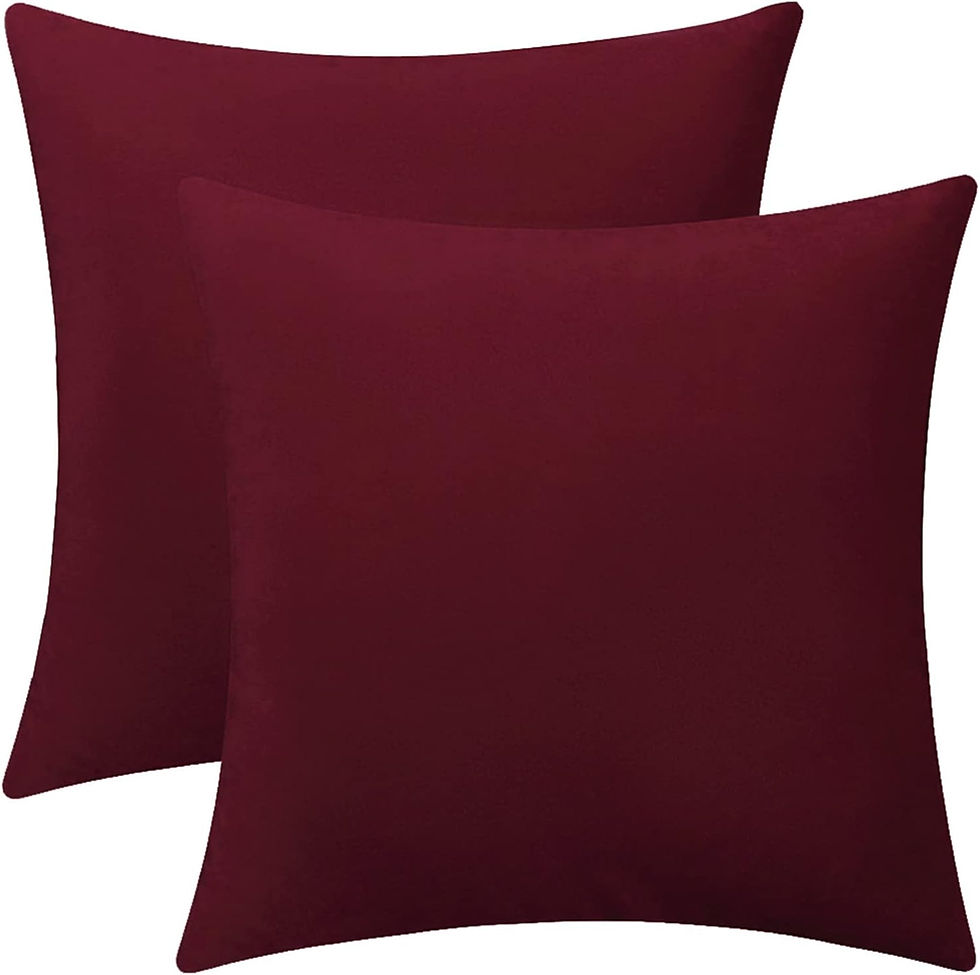 Burgundy Velvet Pillow