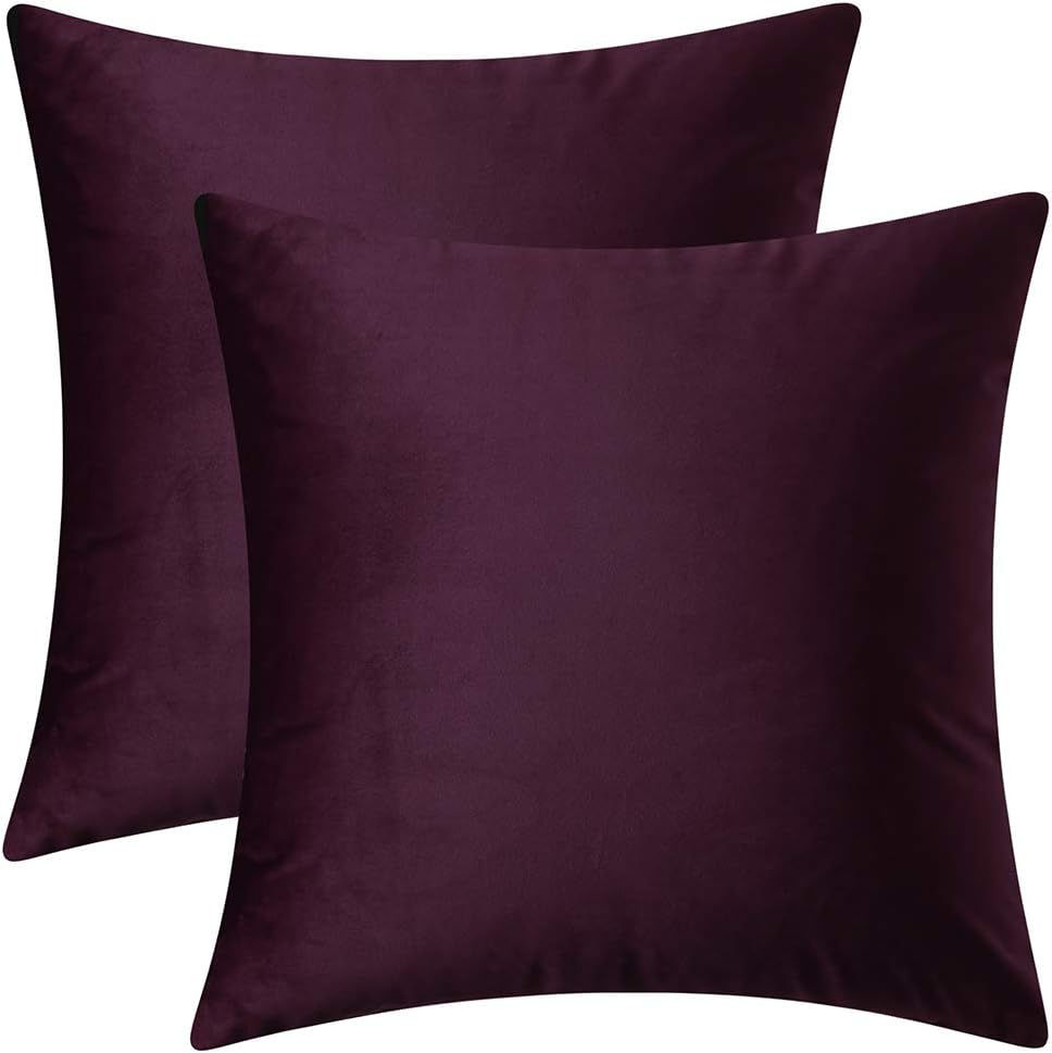 Dark Purple Velvet