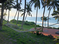 Hammock.jpeg
