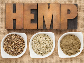 Hemp
