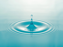 Sattva