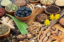 adaptogens