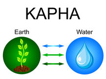 Kapha Dosha