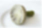 Artichoke heart