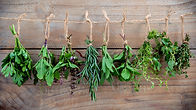 Herbs