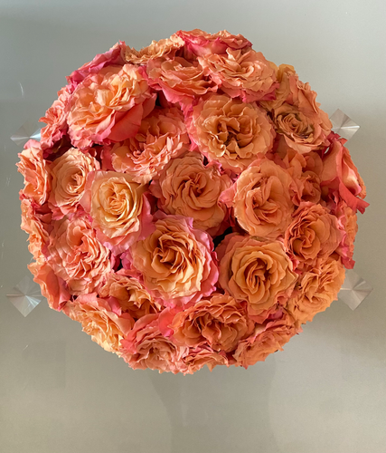 Eleant Roses Elegant Roses | Beyond Bloems