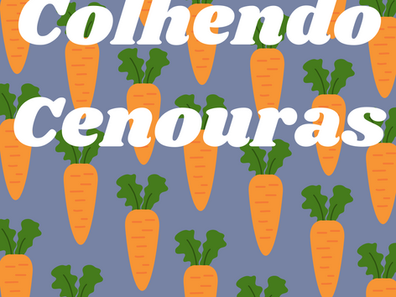 Colhendo Cenouras