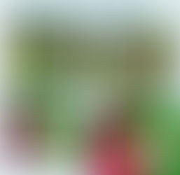 DESAFIO DA MINHOCA MIMI 🌿