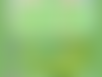 🐊🐊O JACARÉ COMILÃO 🐊🐊