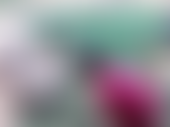 Aula Passeio - Animais