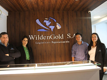 WILDENGOLD: Especialistas en transporte y logística