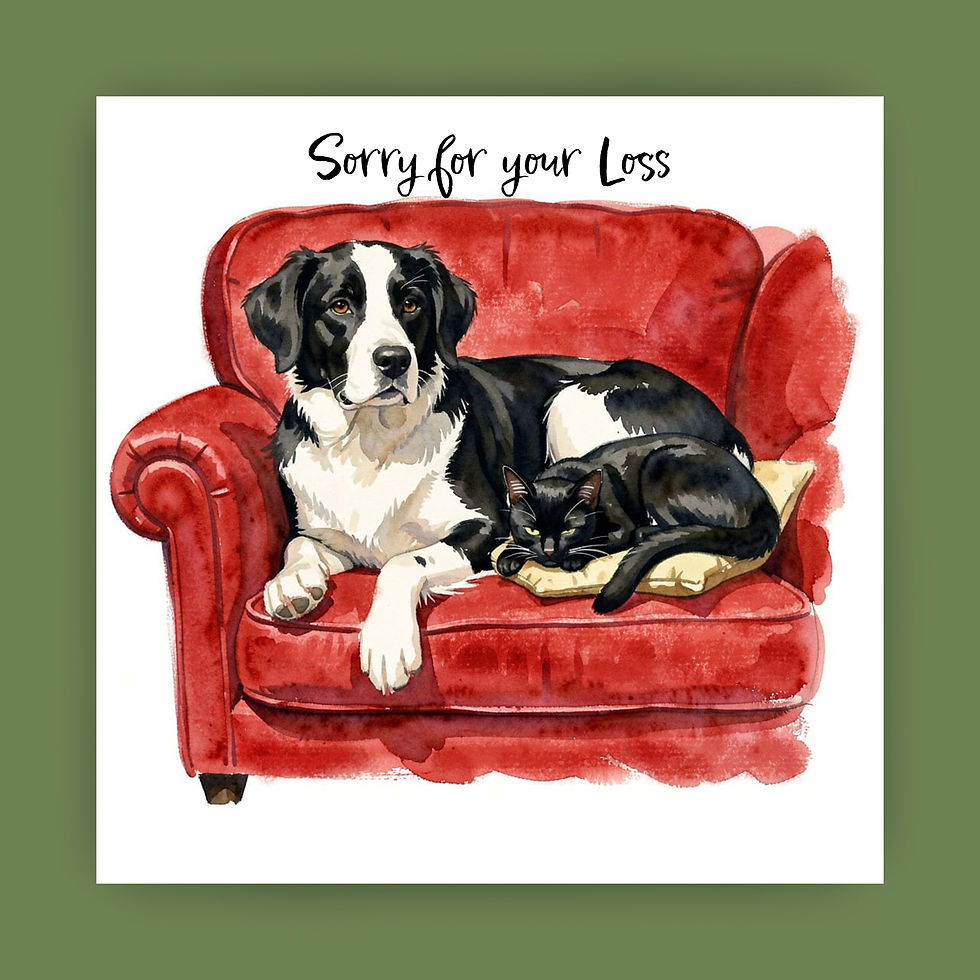 Thumbnail: Dog and cat sympathy card - Pet Loss sympathy card - sympathy card
