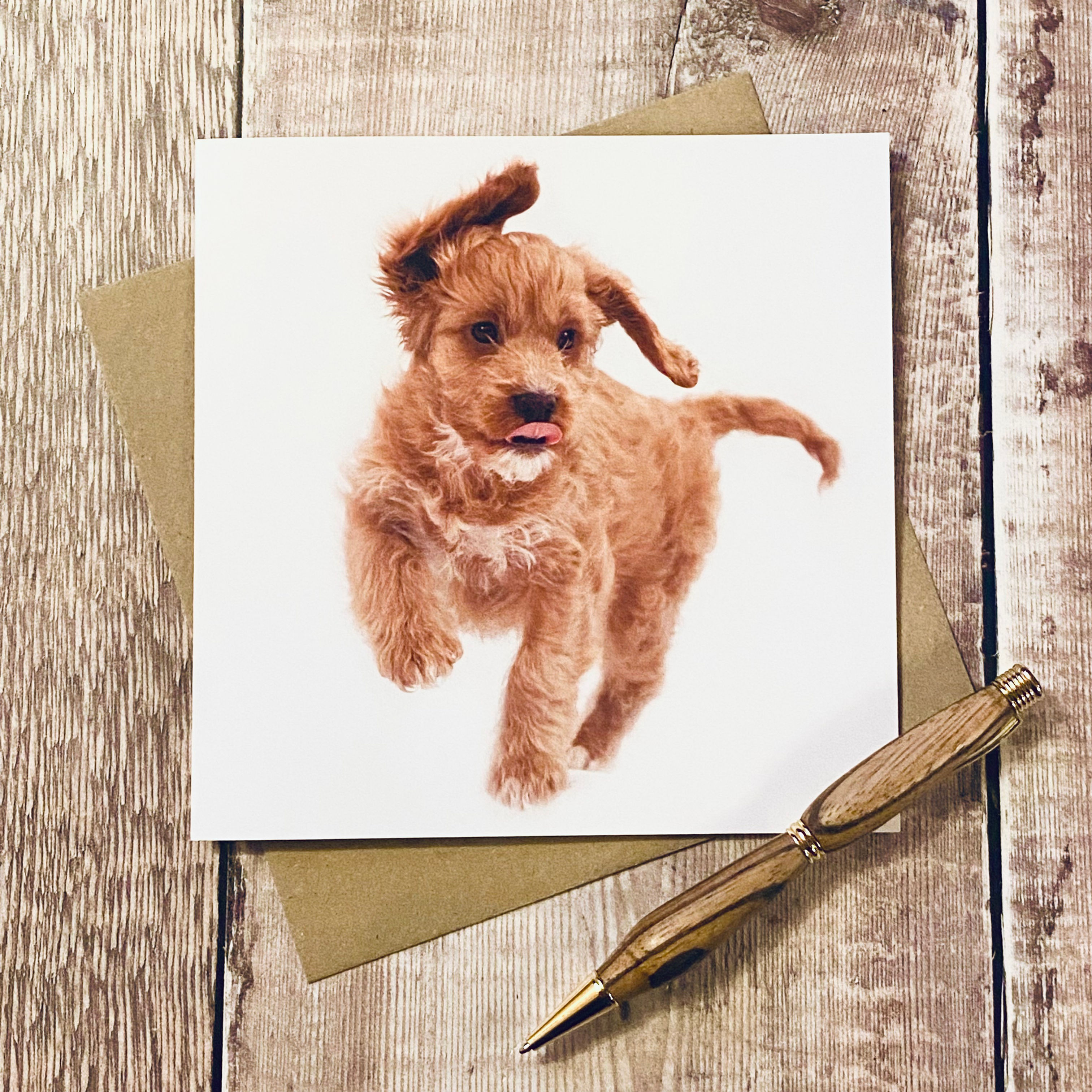 Puppy Cockapoo card - cute puppy card