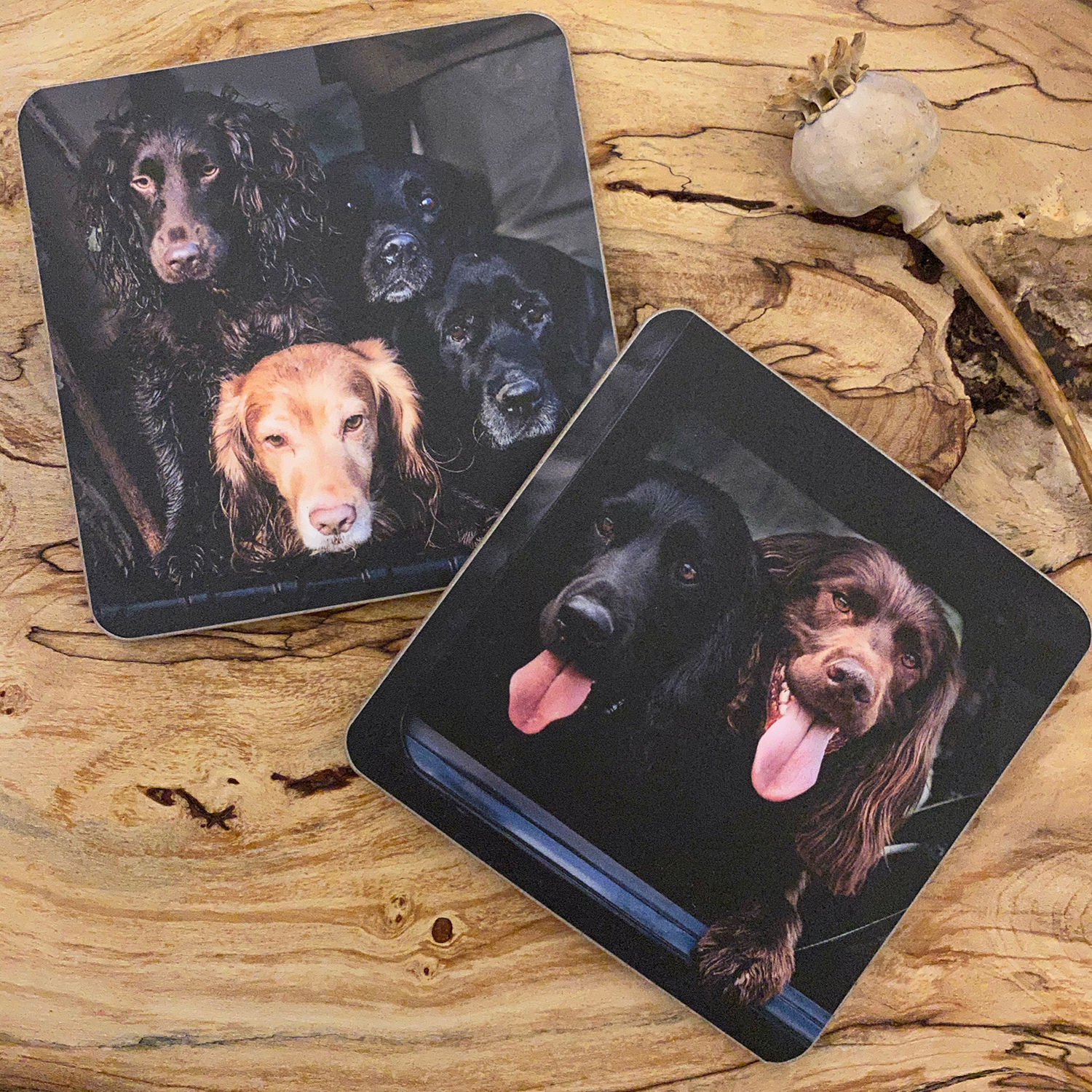 Working Dog Drinks Coasters